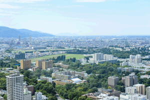 北海道大学の風景